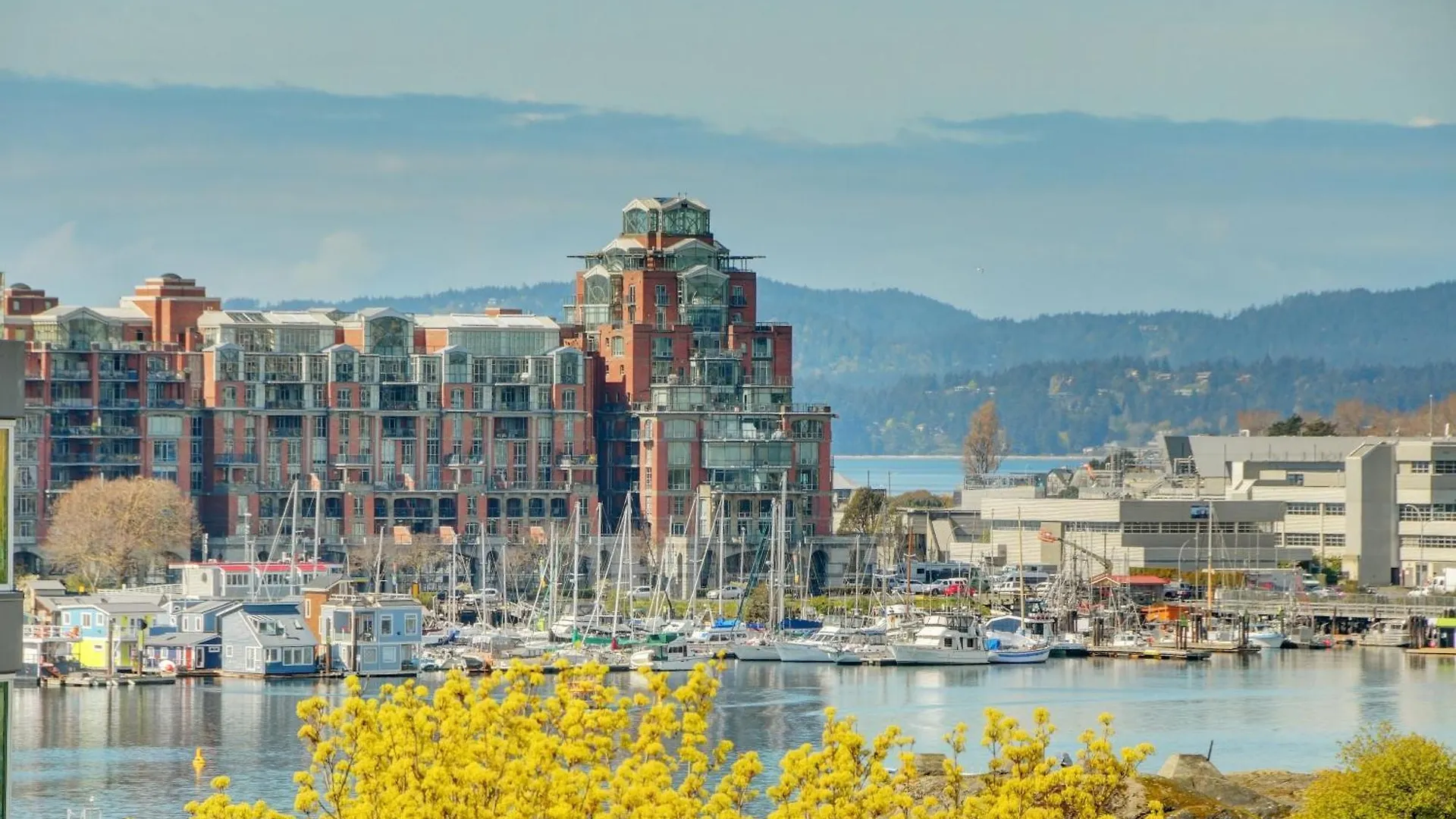 West Coast Loft With Rooftop Patio + Harbour View Victoria 0*,  Canada